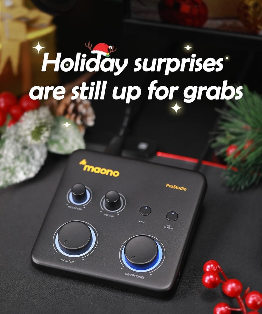 USB Audio Interface for PC: Interface with XLR Input 24-bit/192kHz Routing