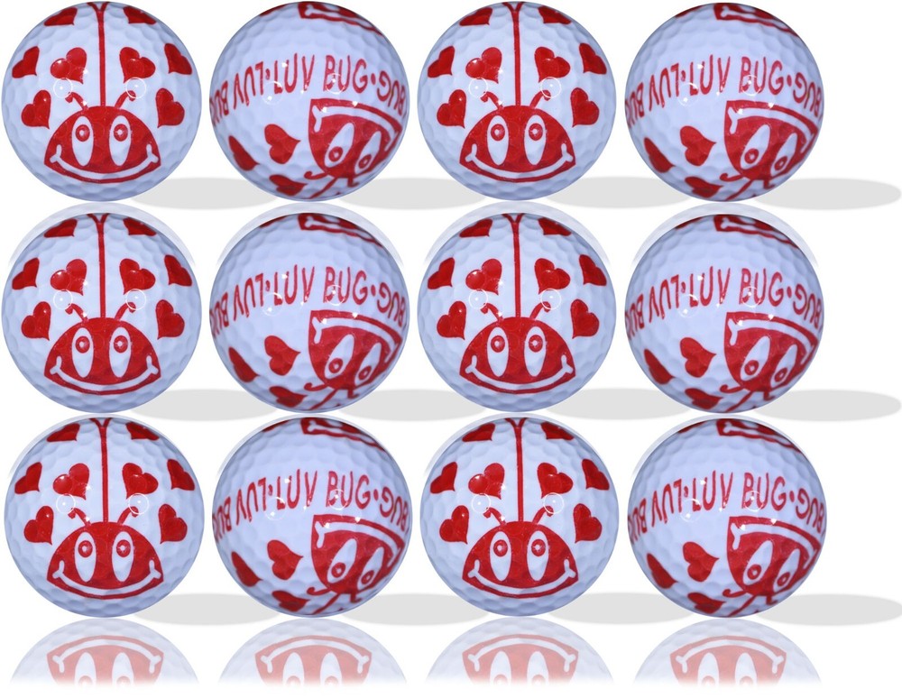 Luv Bug 12 Pack - Perfect Gift Idea!