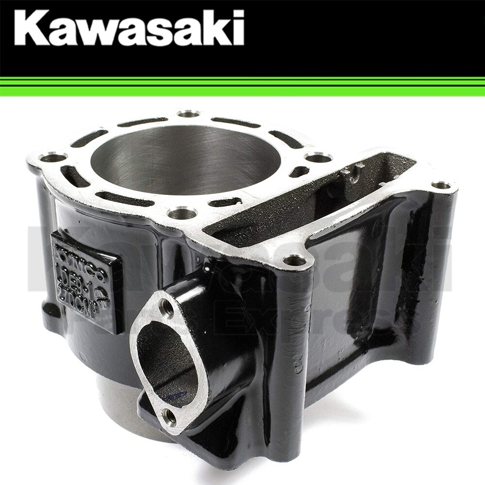 NEW 2012 - 2025 GENUINE KAWASAKI BRUTE FORCE 300 ENGINE CYLINDER 11005-Y003