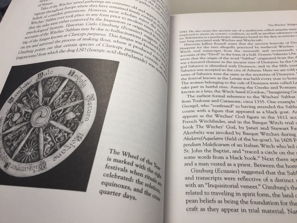 The Witches Craft by Raven Grimassi