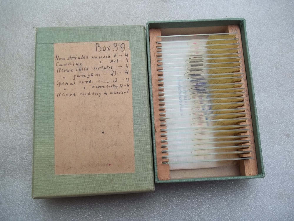 Vintage Glass Microscope Slides -