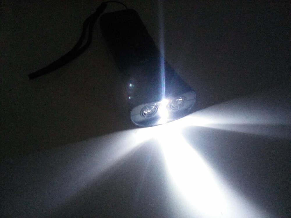 Ultra Sonic Dog Trainer with Flashlight