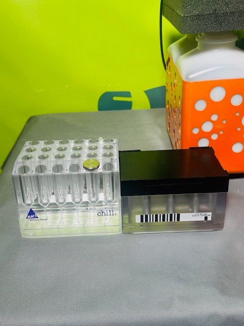 Miltenyi Biotec MACSQuant Analyzer 10 Flow Cytometer SN 2289 Version 2.13.2 C198