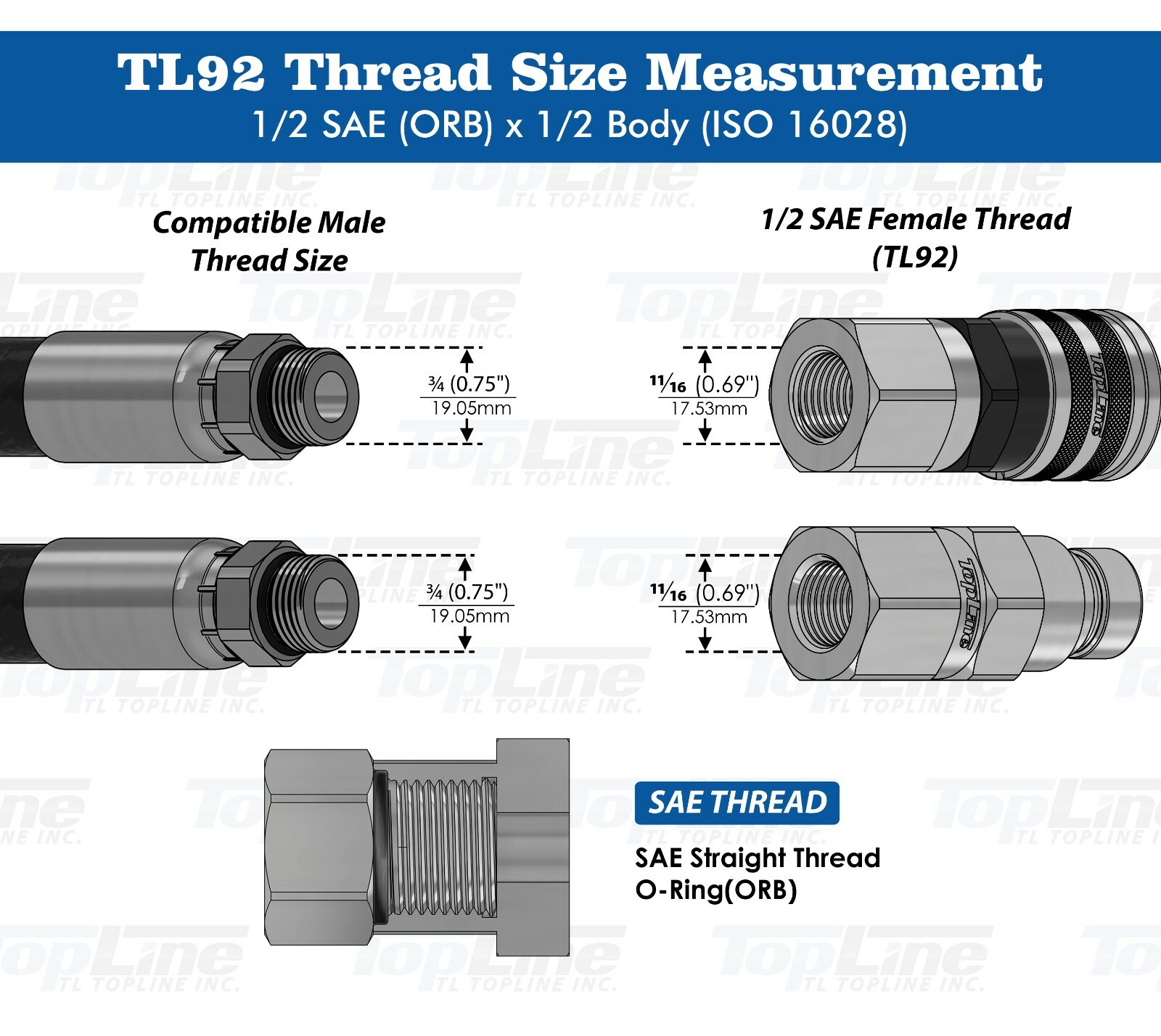 1/2" SAE(ORB) -1/2" Body Flat Face Quick Connect Hydraulic Coupler coupling TL92
