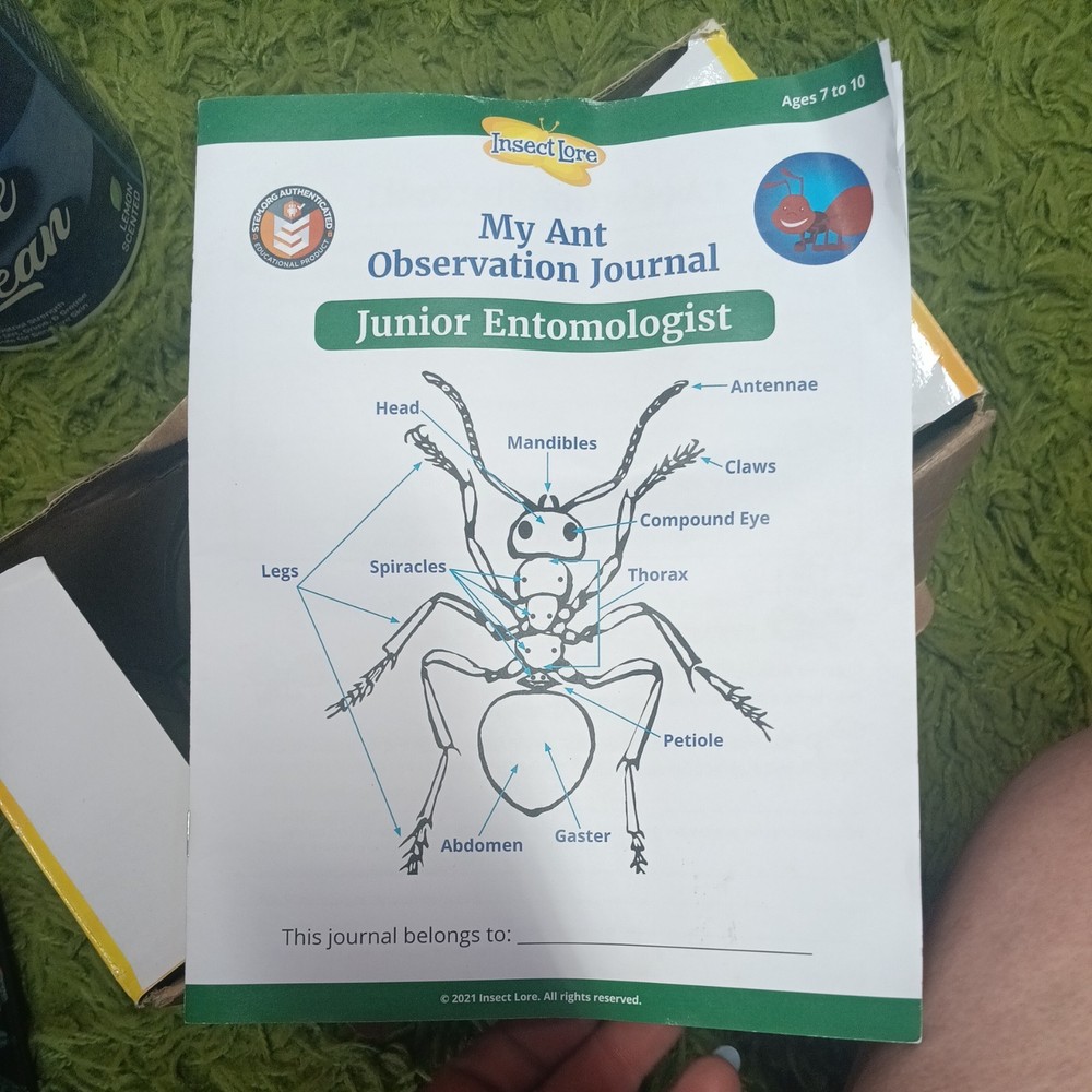 Insect Lore 2018 Ant Mountain Tunneling Kit