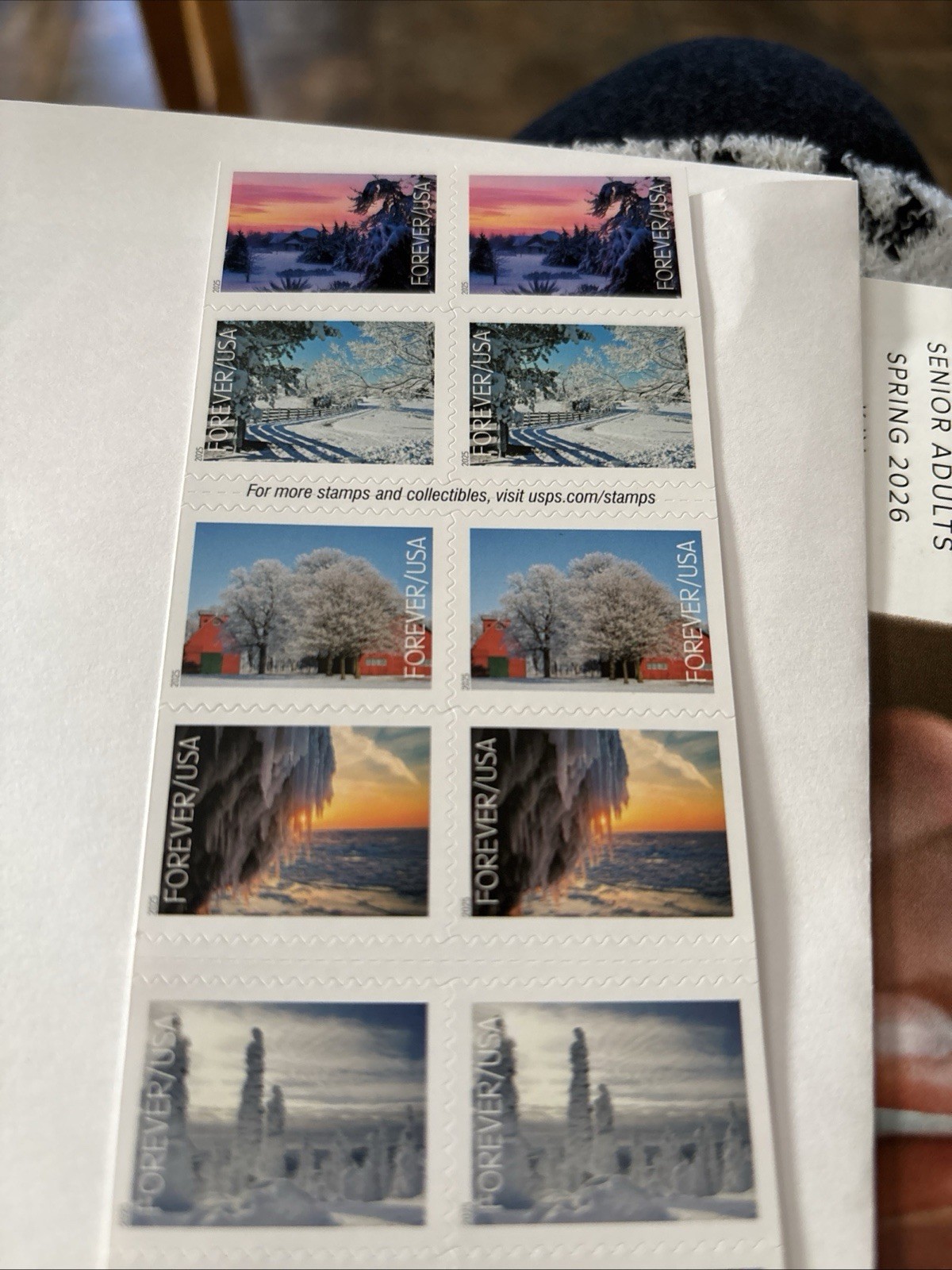 Winter Landscapes 2025 (Book of 20) First-Class Mail Forever Postage Stamps