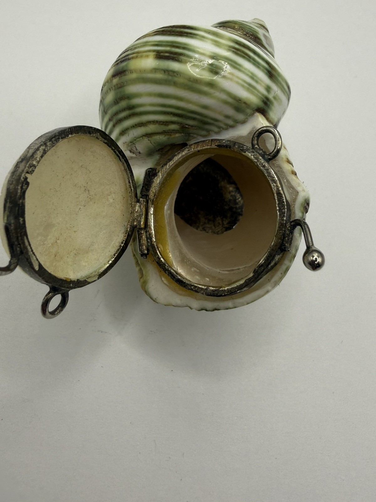 Antique Turbo Shell pill snuff box pendant needs repair