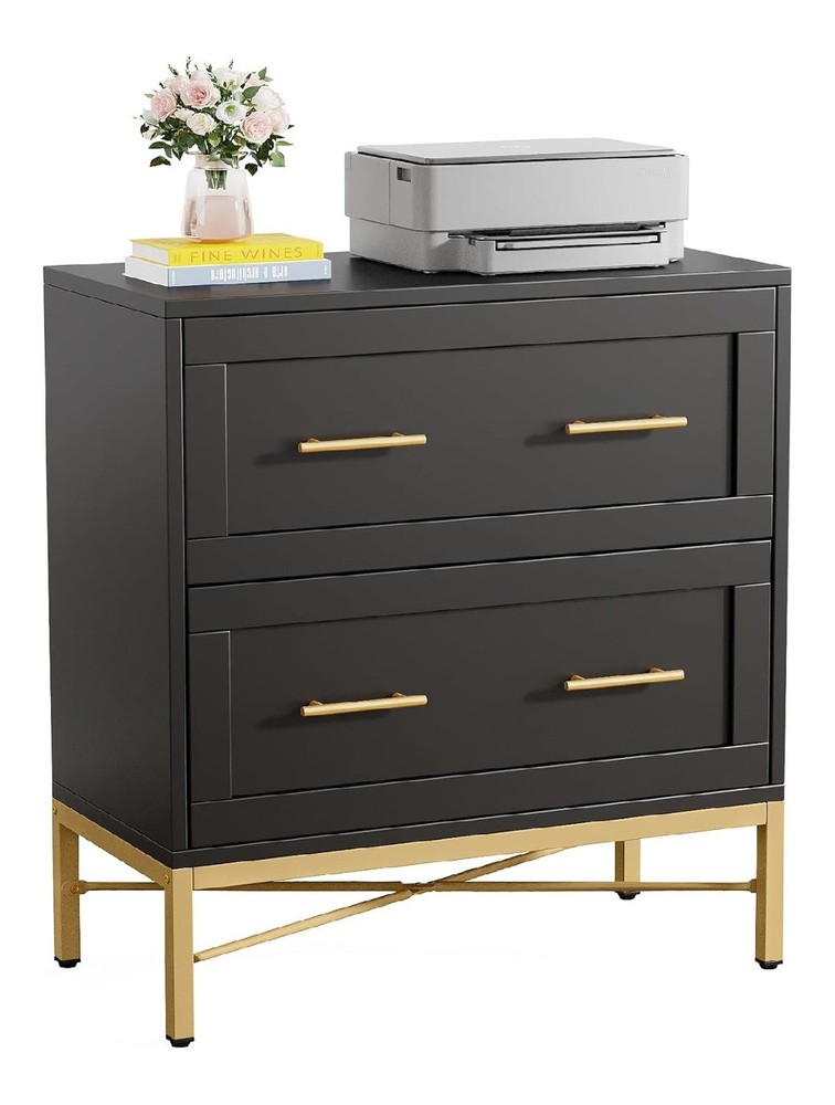 File Cabinet Two-drawer Cabinet Black