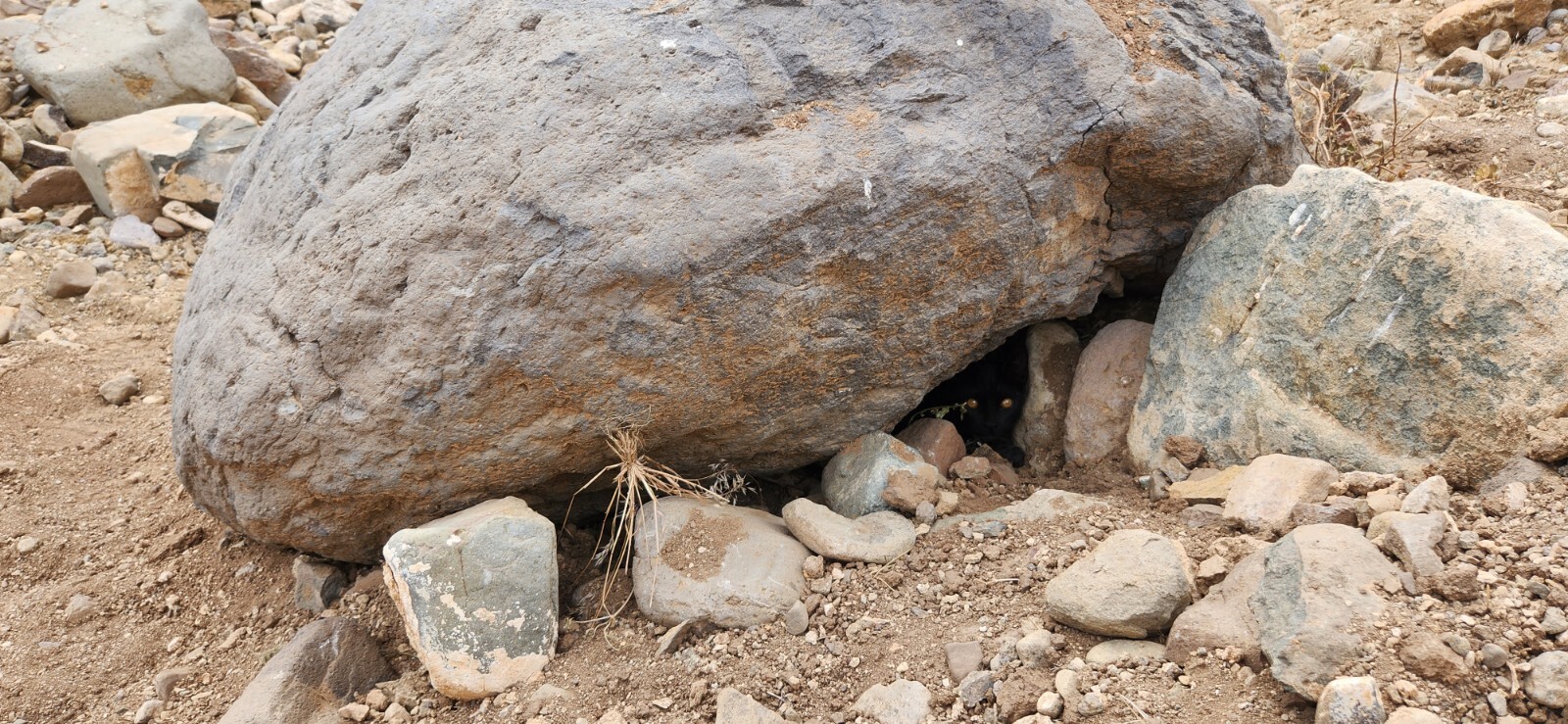 25+Lb. Of High Quality Paydirt Guaranteed To Find NATURAL Placer GOLD