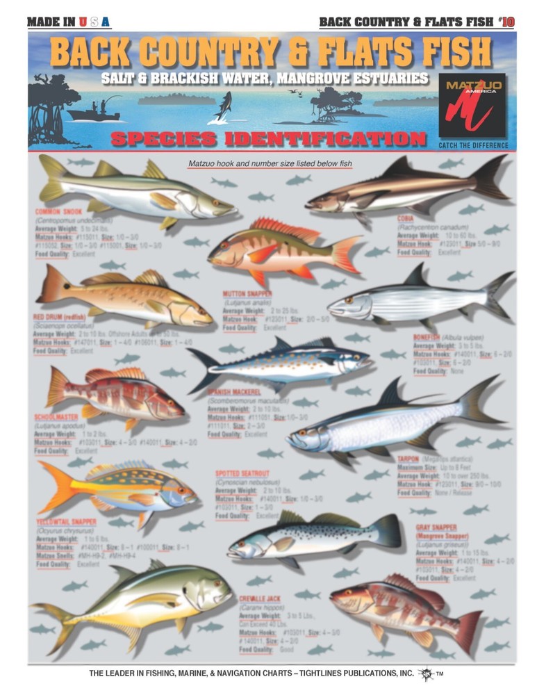 Backcountry & Flats Fish Identification Chart - Quick Reference Guide