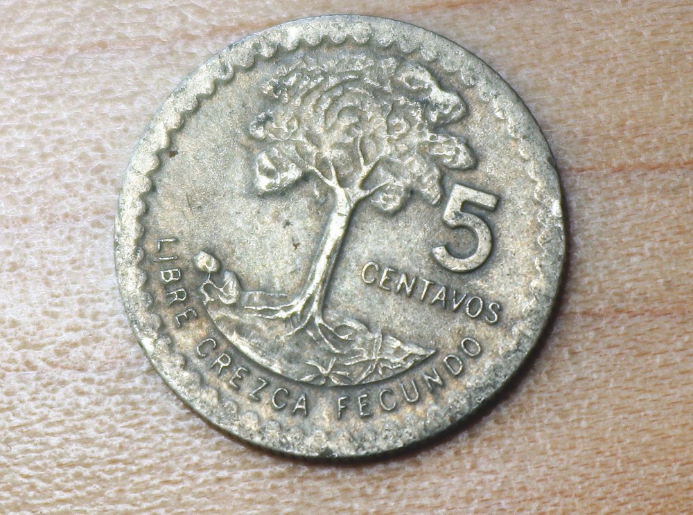 1977 Guatemala 5 Centavos Kapok Tree