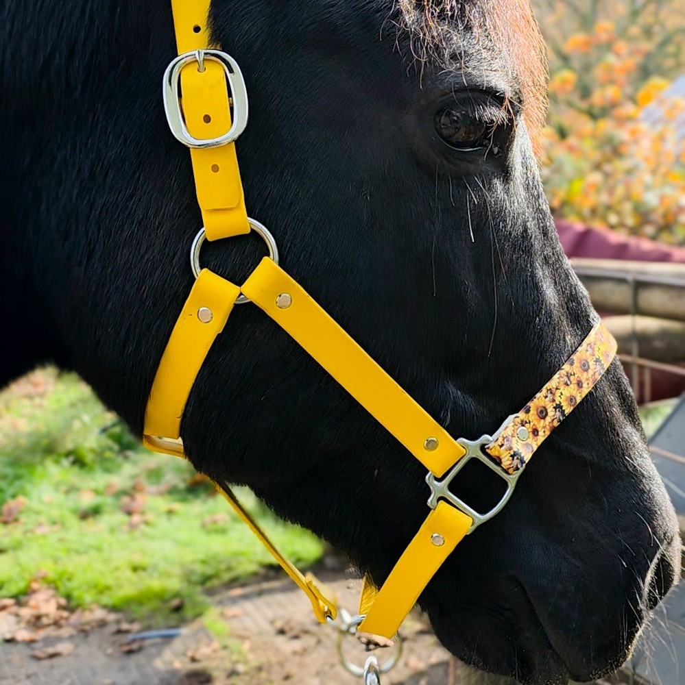 Biothane Horse Halter - Bumble Bee Sunflower
