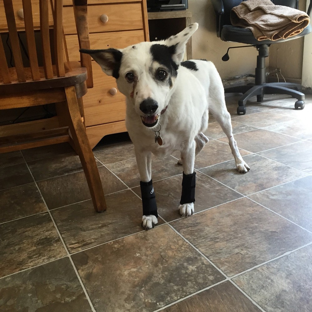 Carpal Wrist Wrap (medium 3"-4") medium 3"-4"