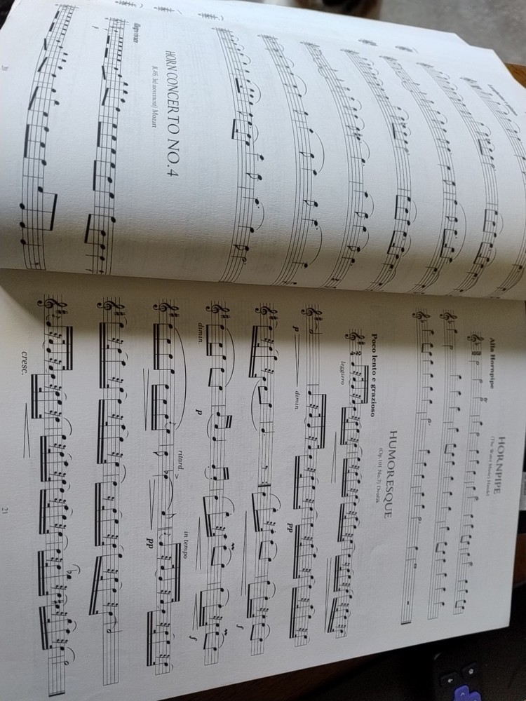 Flute. 100 Classical Themes