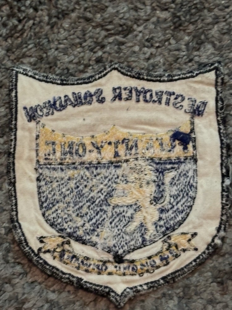 Vintage US Navy Destroyer Squadron 21 Patch