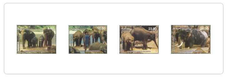 Sri Lanka Mint Stamp Orphaned Giants Earth Elephant Orphanage Pinnawala set MNH