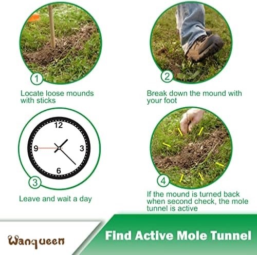 Wanqueen scissor-jawed mole trap and eliminator