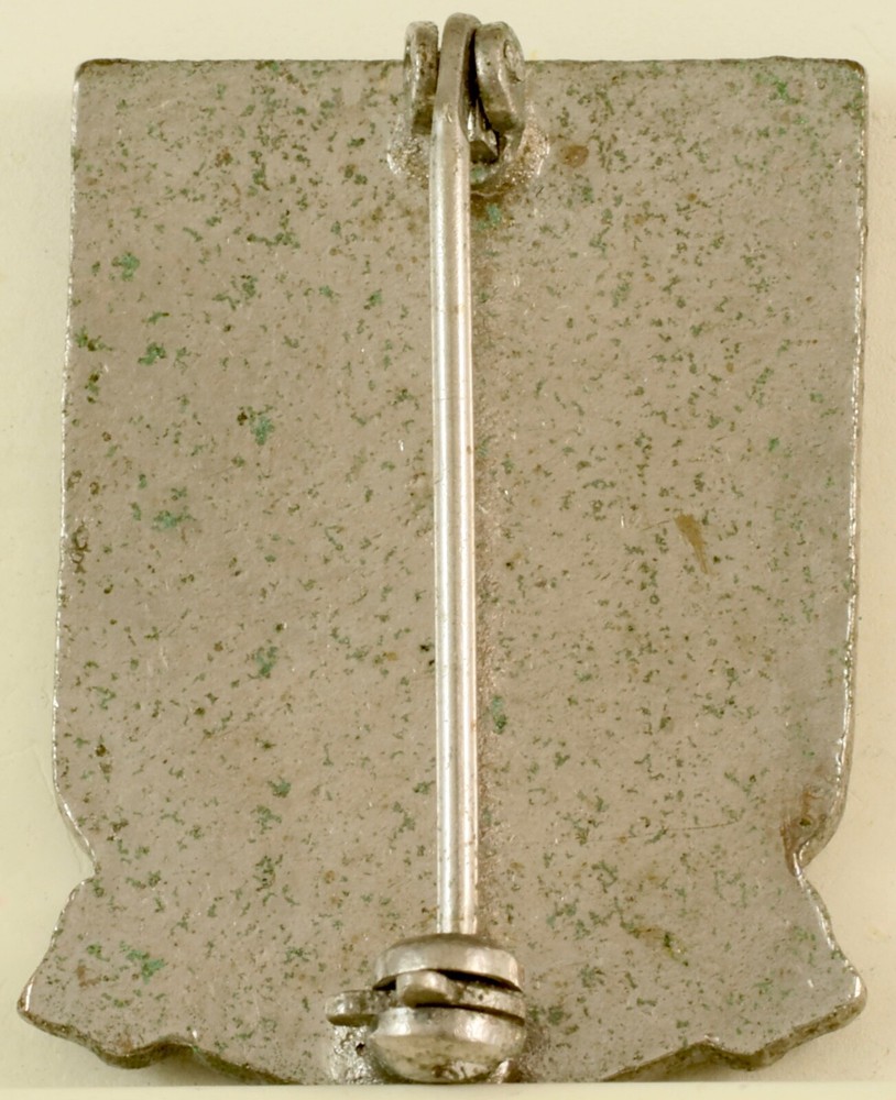 30th Engineer Battalion Crest DI/DUI Pinback