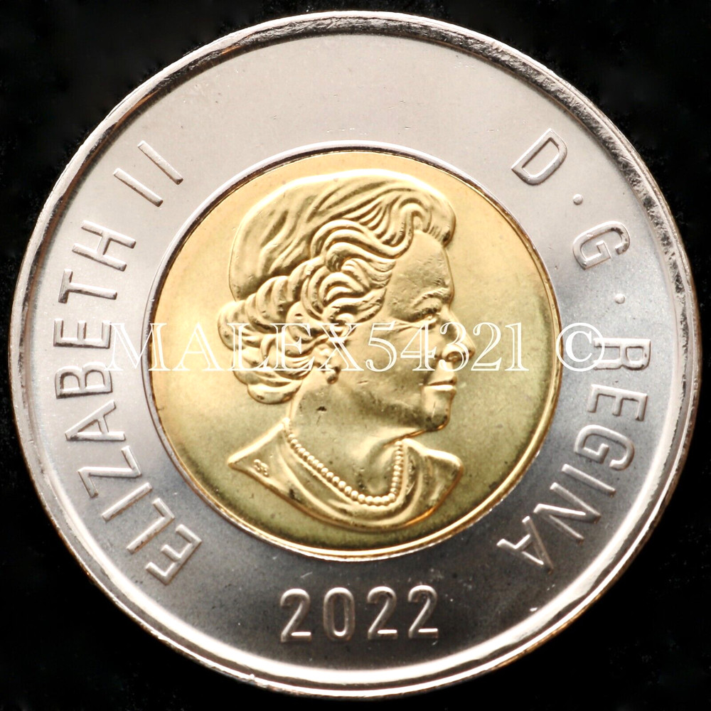 🇨🇦​ CANADA 2022 POLAR BEAR 2 DOLLARS UNCIRCULATED FROM MINT ROLL