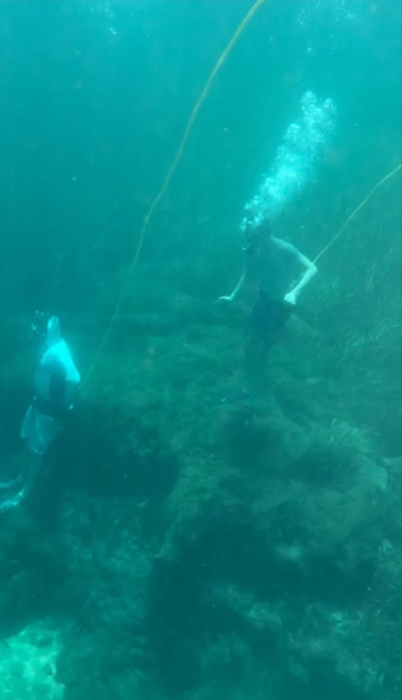 Hookah Diving 2 diver 75' Hose package/5 Micron filter. Just add a COMPRESSOR