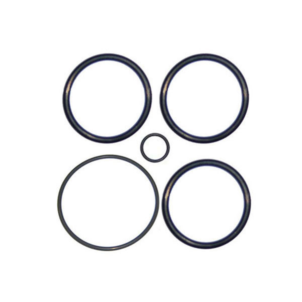 Anthony Piston O-Ring Set 2" - Plastic V34-141.