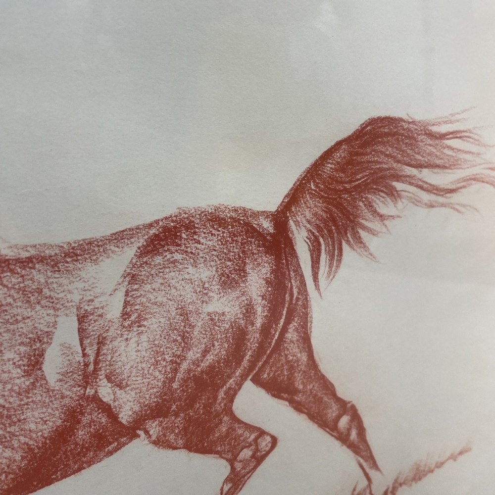 Framed Print "Equestrian" Signed By Norman Hoad Red Chalk, Size 68 x 56 cms