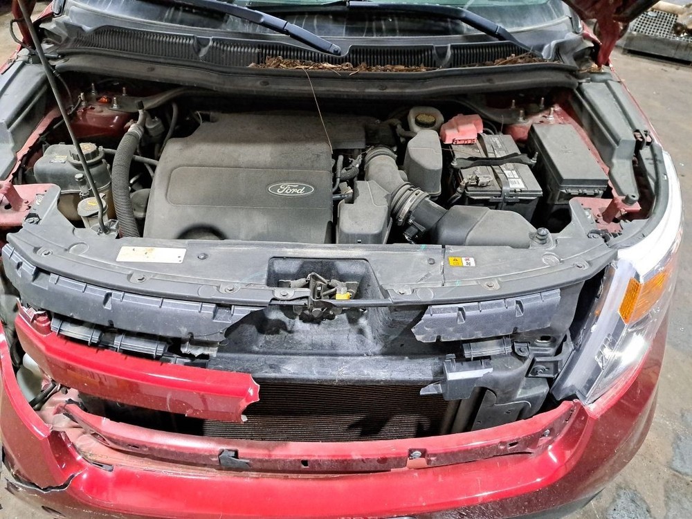 Jack 2013 Explorer Sku#4278208