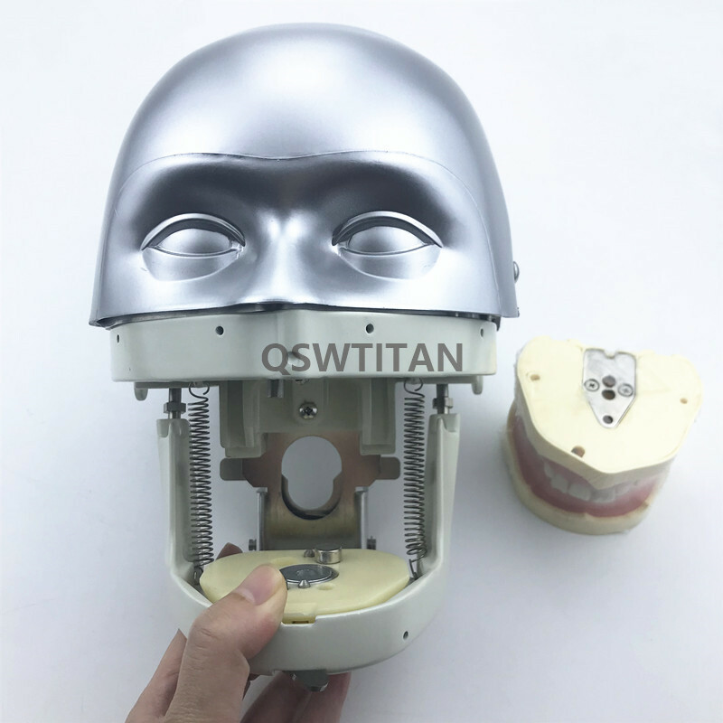 Dental Simulator Manikin Phantom Head practical exercises Head model