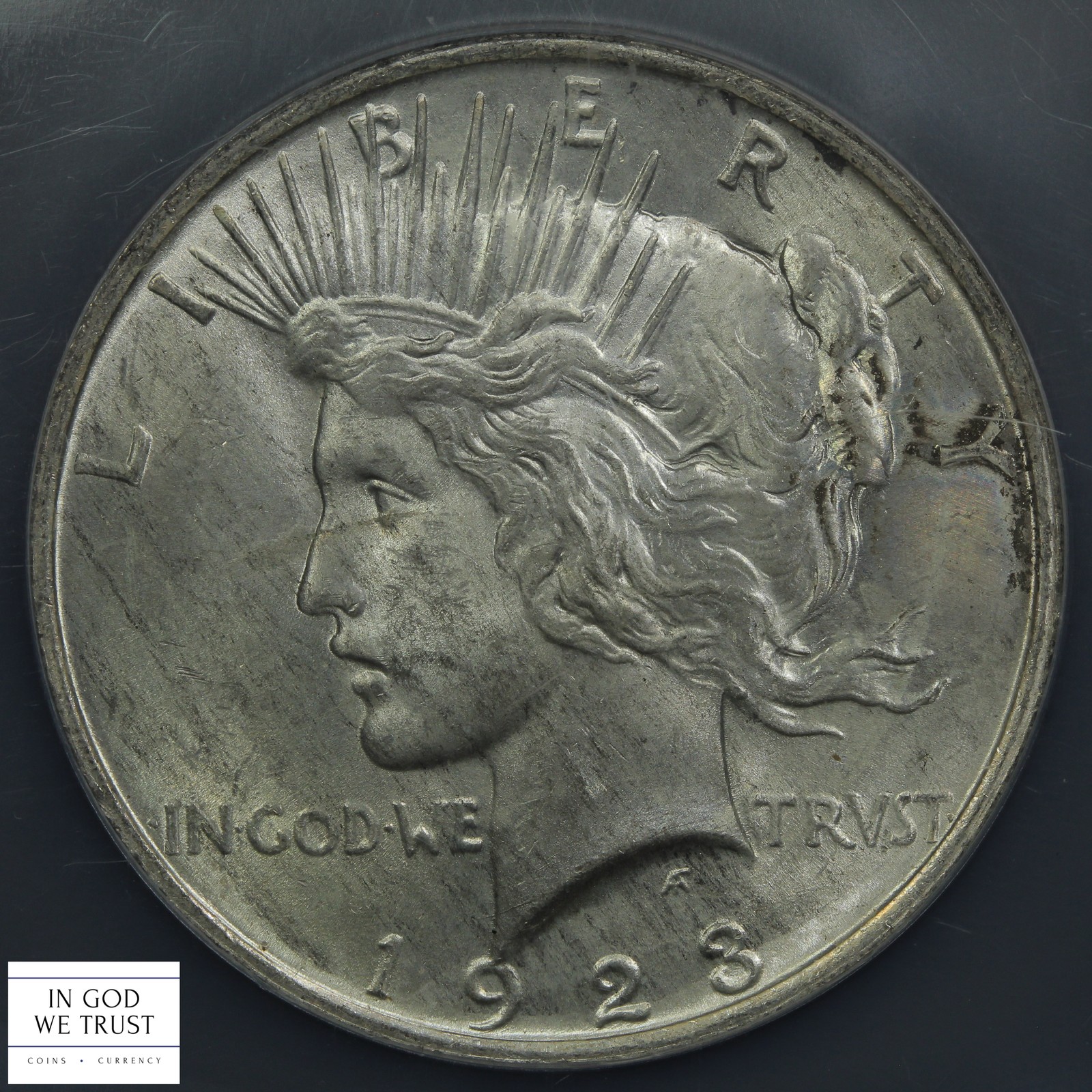 1923 Binion Hoard Peace Silver Dollar $1 NGC/NCS Genuine