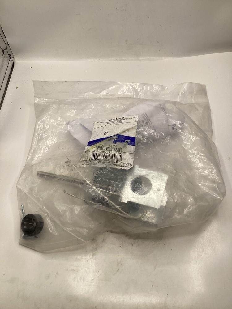 (QTY 2) Johnson Controls TE-631AM-2,  Well Insertion Temperature Sensor