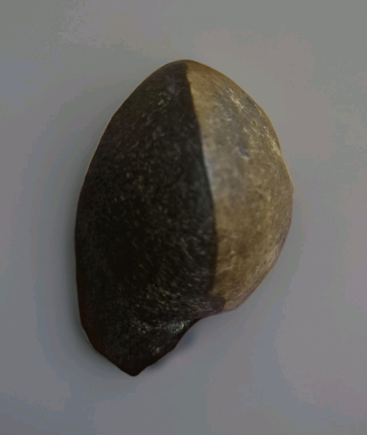 Rare Large Tibetan Kapala Citipati Bead - Relic