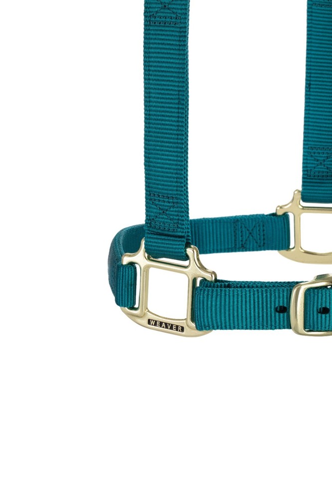 Original Adjustable Chin and Throat Snap Halter, 1" Teal