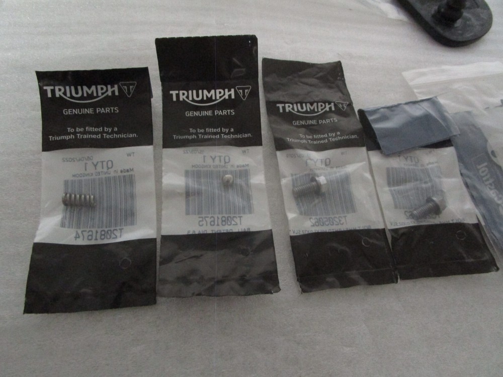 Triumph Thunderbird 1600 1700 Passenger Floorboard Rubber (ONE)
