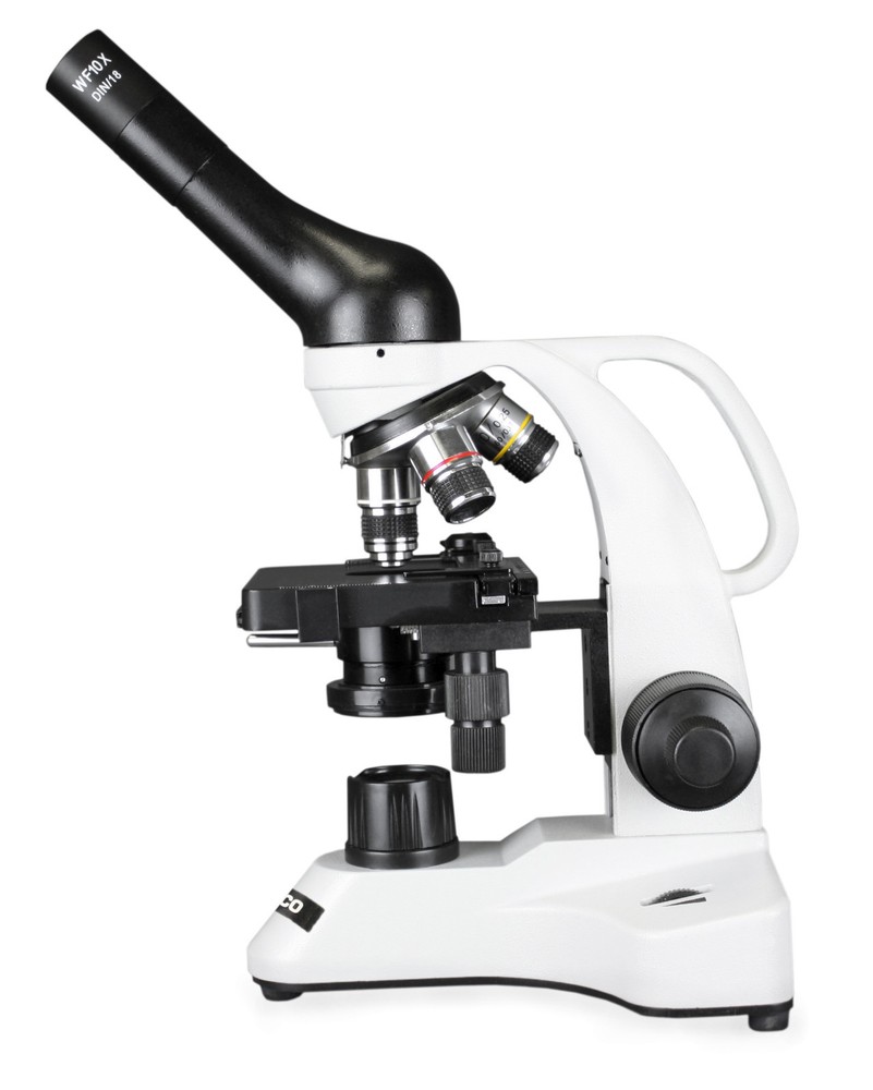 Parco Scientific 3050-100-LED Monocular Compound Microscope, 10x WF Eyepiece