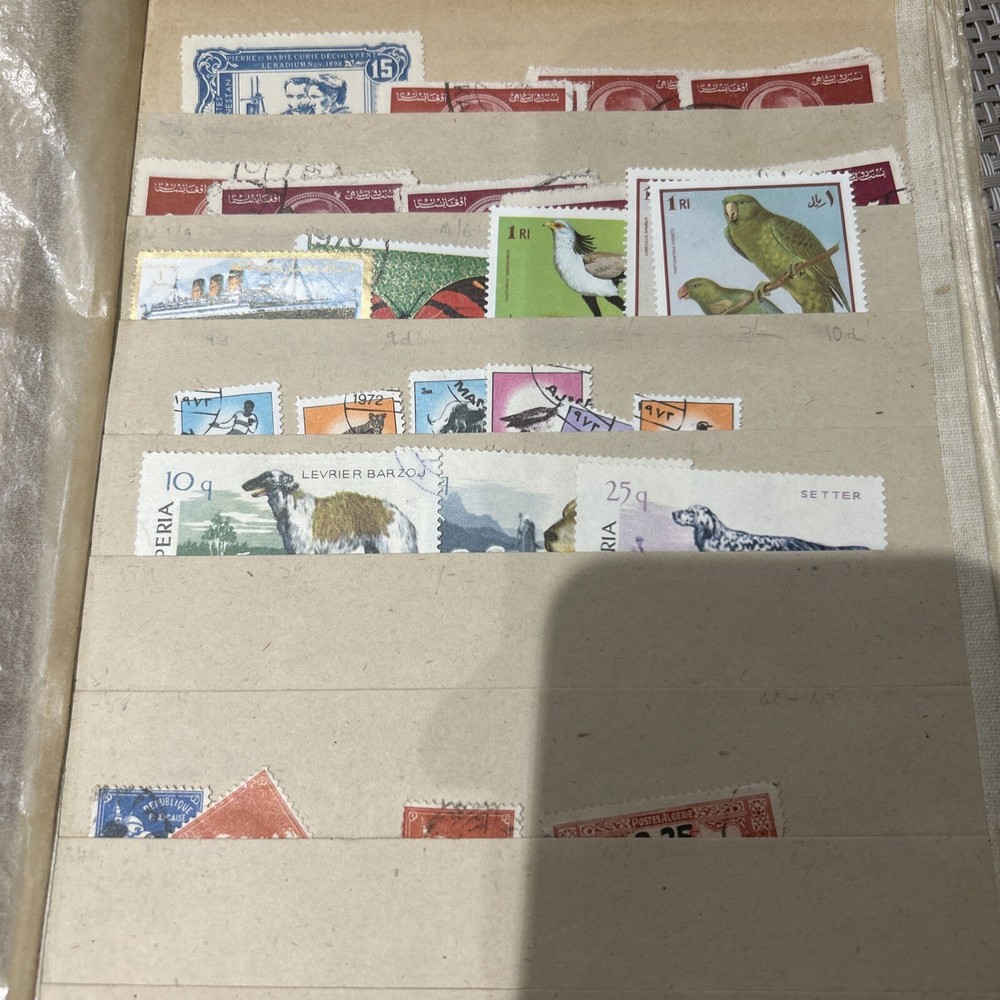 World Stockbook BC618