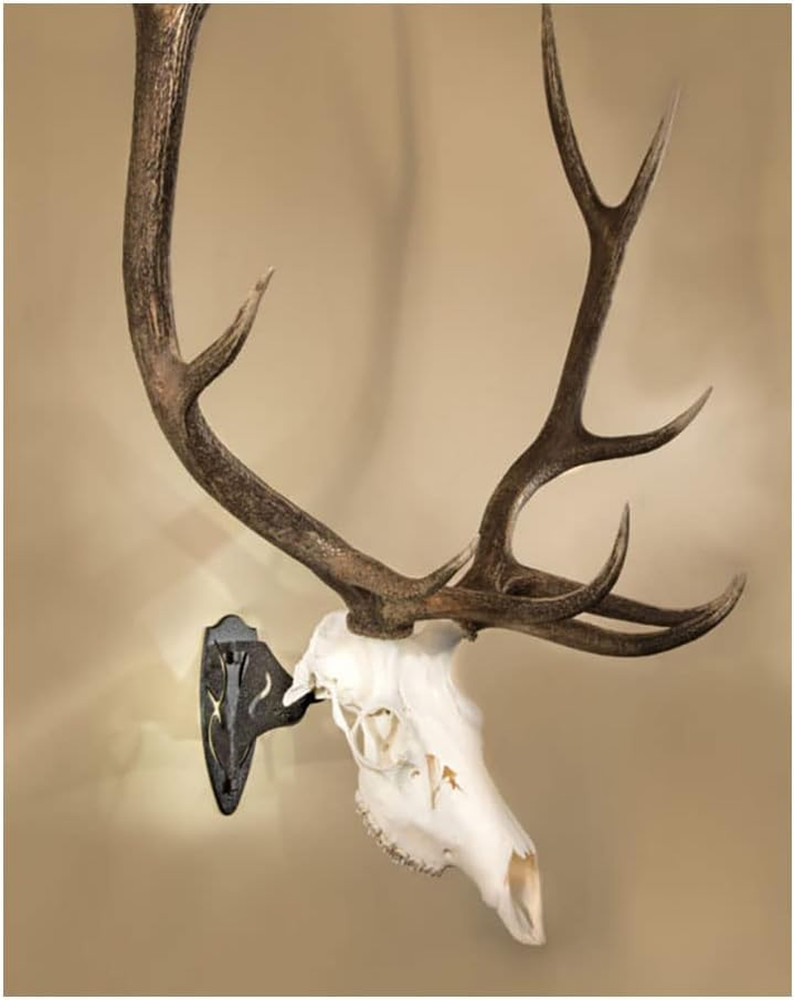 Big Hooker Trophy Mount - Durable Steel for Large Game - Graphite & Brown