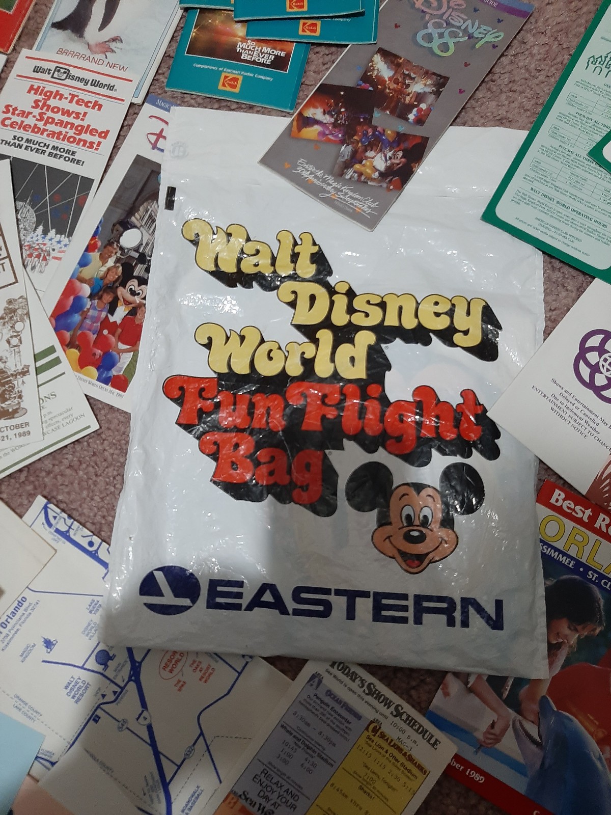 HUGE LOT - DISNEY WORLD and FLORIDA Sites - Brochures Books Souvenirs - 80s-90s