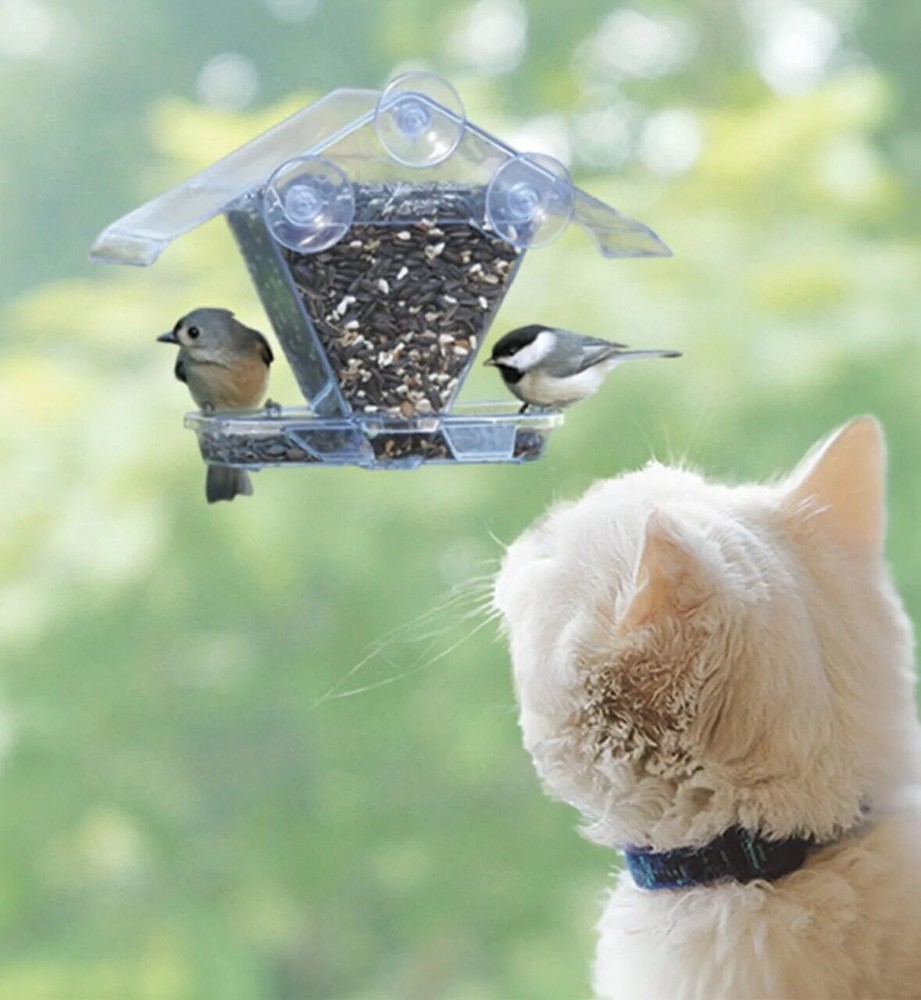 Aspects Window Cafe Bird Feeder 155