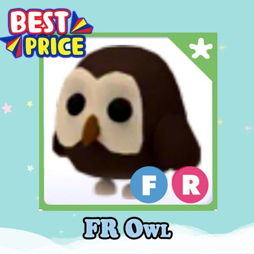 FR Owl - Adopt right now