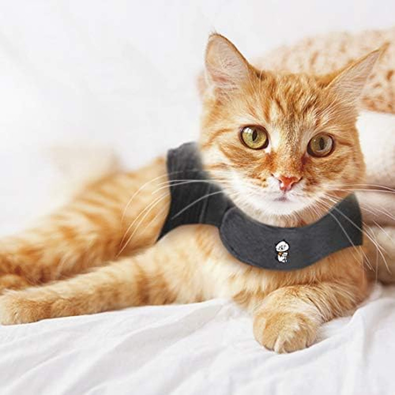 for Cats, Grey, Large ( 13 Lbs)