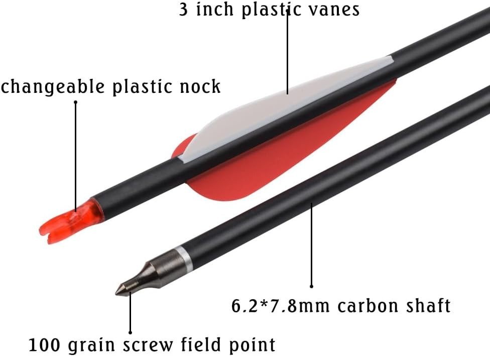 Carbon Arrow Set 12-Pack for Target Practice