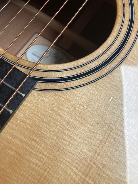 Taylor 310E Guitar