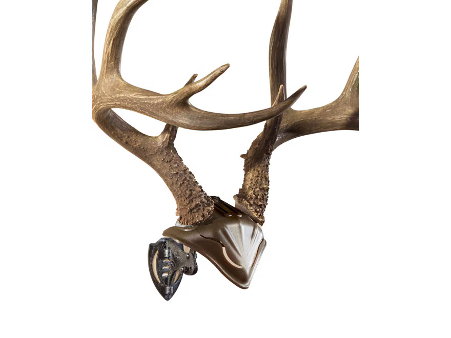 Skull Hooker Bone Bracket and Skull Cap Antler Mounting Kit