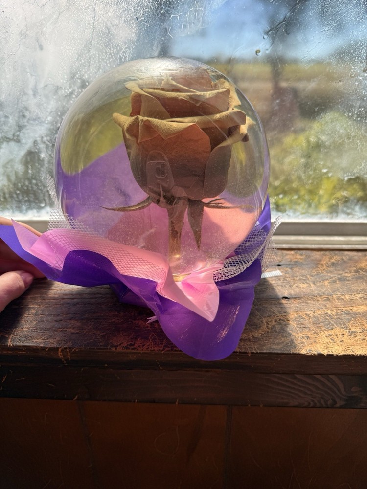 Rose In A Globe