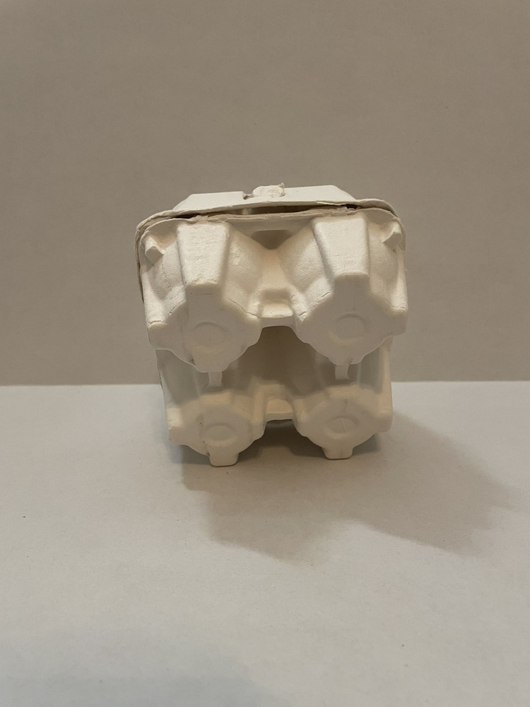 4 Count Paper Pulp Egg Carton (3 pack)