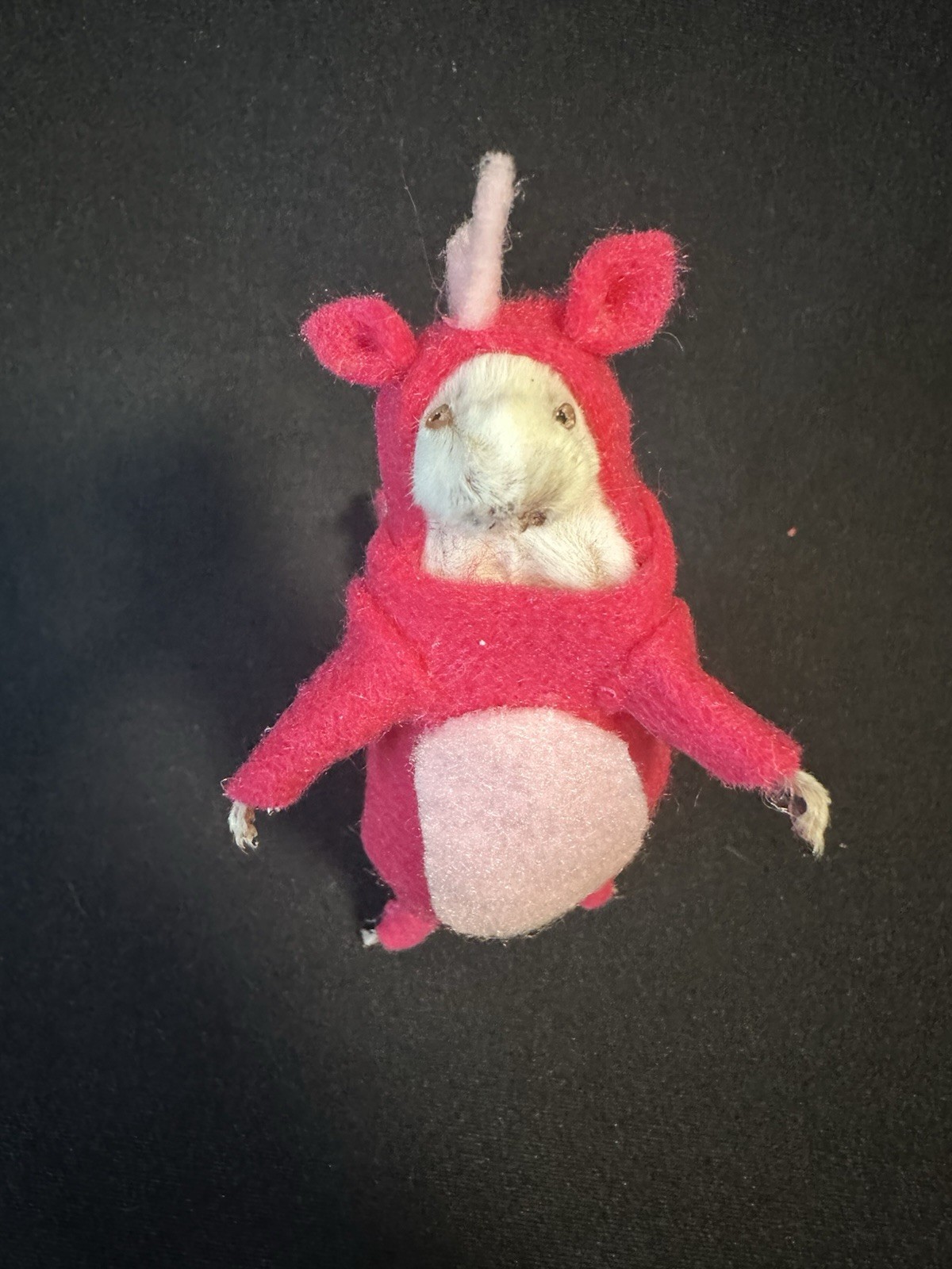 Taxidermy Mouse Dinosaur Mouse Oddities Curiosities Taxidermy Art