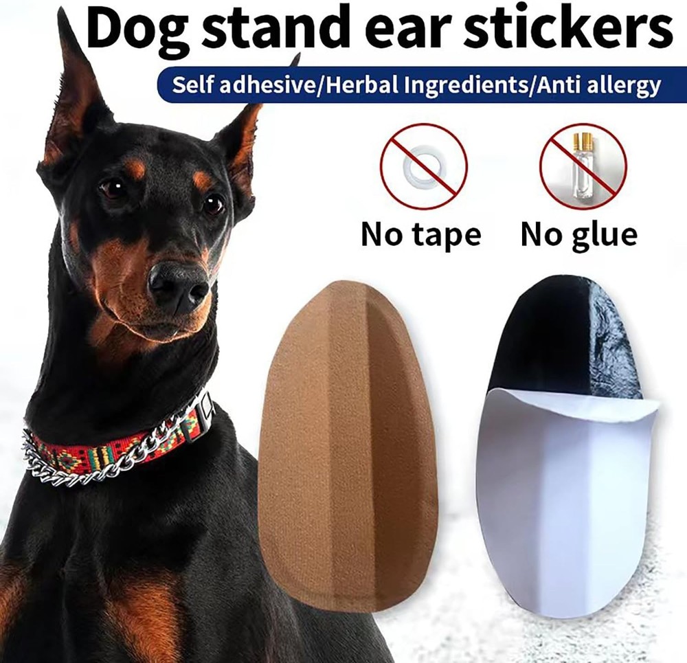 Adjustable Dog Ear Support Tool: Comfortable and Durable Ear Shaping Solution