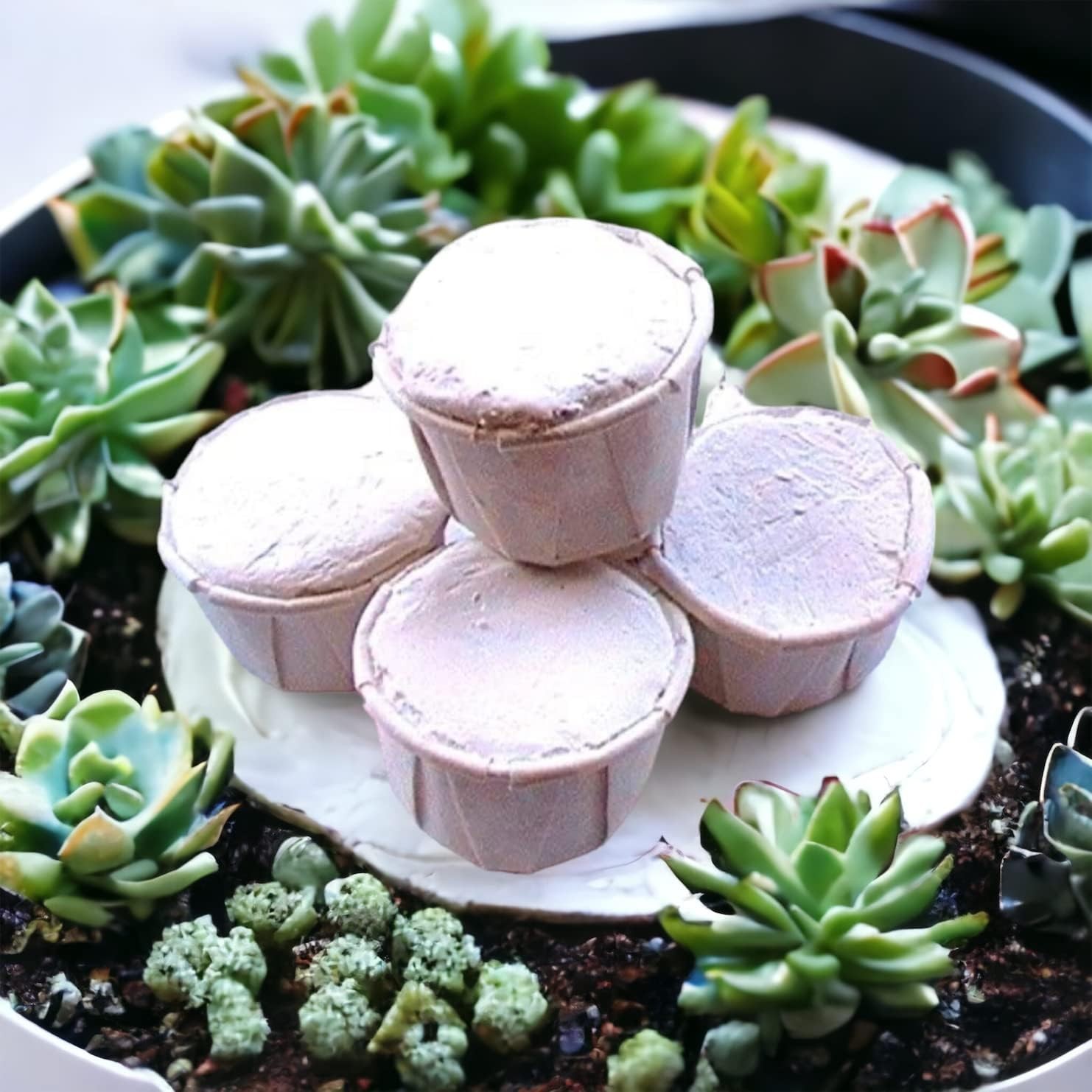 Cascarilla - Efun - White Eggshell Powder ~ 5 Pack