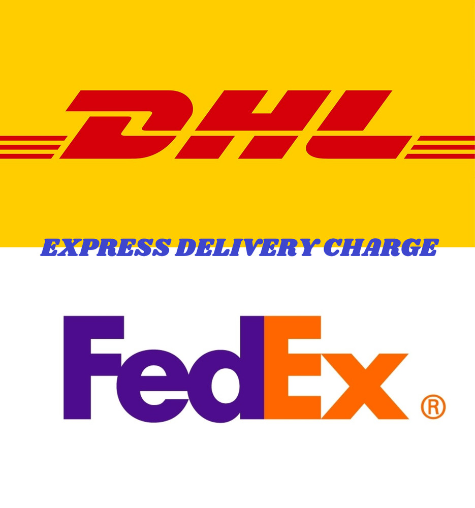 EXPRESS DELIVERY SHIPPING ADDITIONAL CHARGE from JAPAN