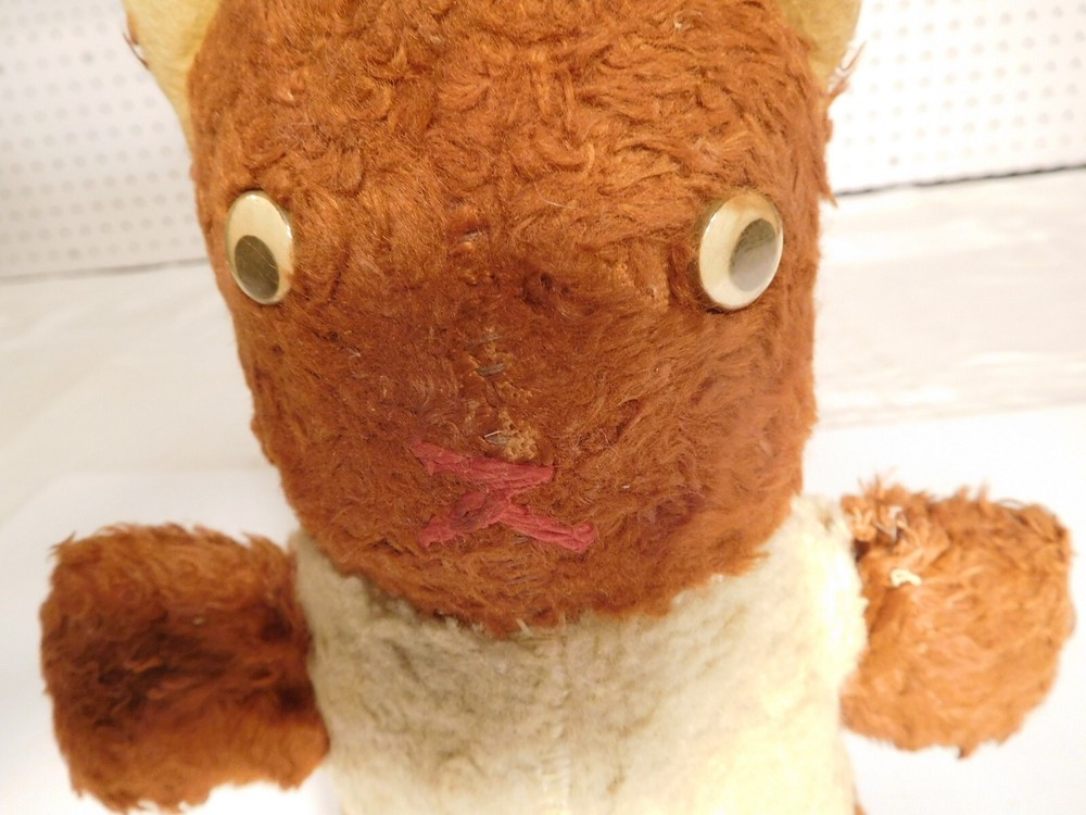 ~ Creepy Paranormal Mutant Teddy Bear ~